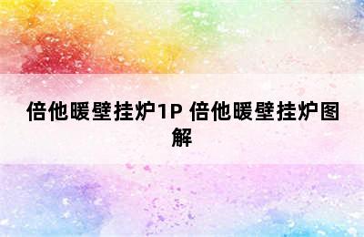 倍他暖壁挂炉1P 倍他暖壁挂炉图解